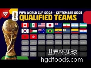 世界杯买球,软件泛滥,官方提醒风,世界杯买球官网,世界杯投注,体育投注,赛事分析,即时推荐,官方平台,便捷登录,手机App
